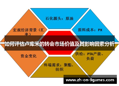如何评估卢库米的转会市场价值及其影响因素分析