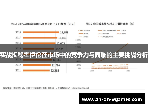 实战揭秘霍伊伦在市场中的竞争力与面临的主要挑战分析